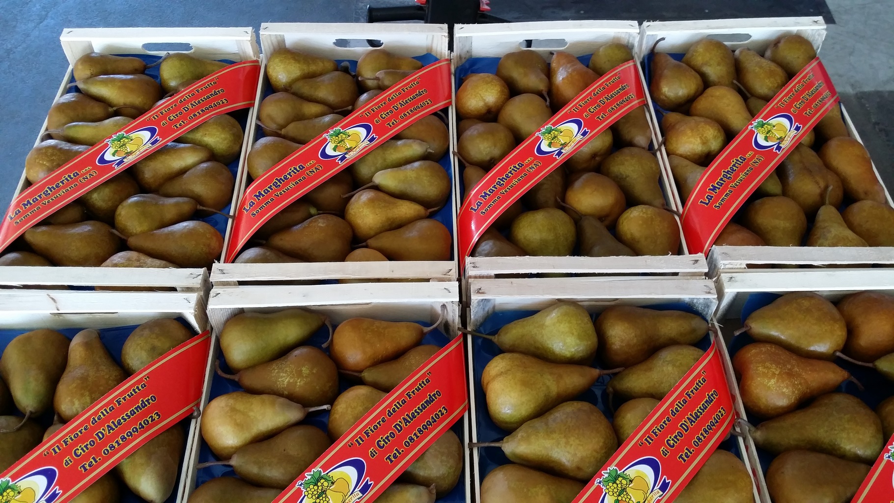 Pere Kaiser Alexander